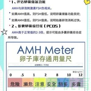 AMH0.69 六促排好孕经验谈