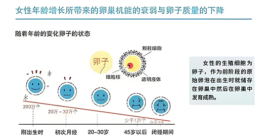 让卵巢和卵子保持青春活力的方法(图1)