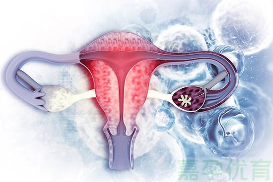 卵巢衰老的惊心之旅(图1)